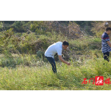 县财政局：组织保险机构下乡勘灾理赔