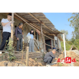 维新镇：改厕改出新风貌，乡村振兴步步高