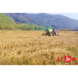 磨市镇：秸秆变“金砖”，环保促双赢