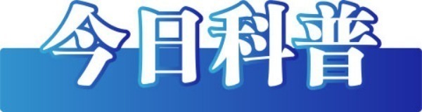 mmexport9e1bafd6edd33541ac5182d4d68d02bc_1734238376795.jpeg