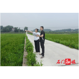 夹山镇:开展早稻种植面积核查