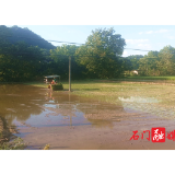 三圣乡：早稻收割忙 “双抢”进行时