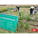 石门县农业农村局：田间试验“力撑”粮食单产提升