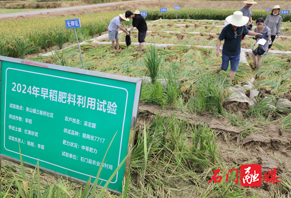 石门县农业农村局：田间试验“力撑”粮食单产提升