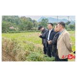 【秸秆禁限烧和综合利用】李长春赴蒙泉镇督导秸秆禁烧和综合利用工作