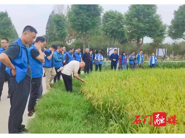 石门县举办2025年县乡农技人员培训