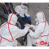 三圣乡：开展牛、羊布病专项筛查工作