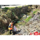三圣乡：开展河道清理行动，助力乡村环境焕新颜