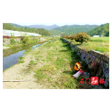 太平镇：人居环境整治“常发力” ，让乡村增“颜”提“质”
