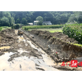 子良镇：抢修河堤办实事 筑牢汛期安全屏障