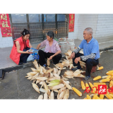 宝峰街道黄泥岗社区：入户开展劳动力调查，夯实源头数据质量