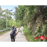 子良镇：干群合力保畅通