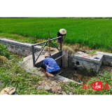 易家渡镇军档桥村：水稻双抢正当时，检修水利保丰收