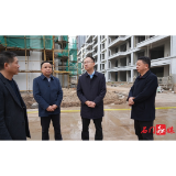 张世田调研城镇重点项目建设工作