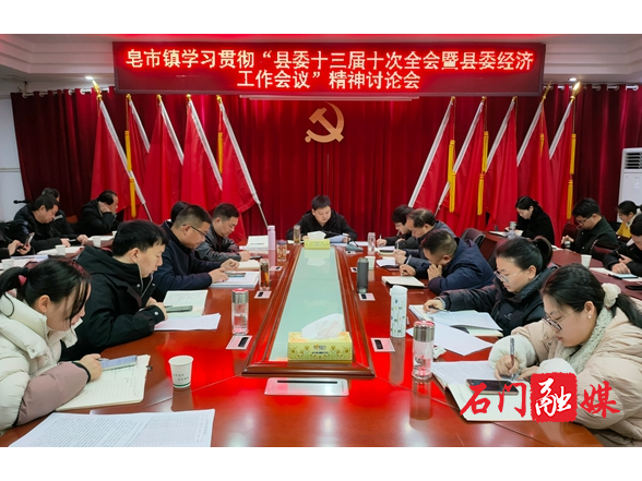 皂市镇：召开专题研讨会  学习贯彻县委十三届十次全会暨县委经济工作会议精神