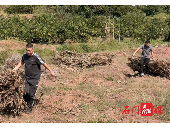 新关镇：秸秆利用变废为宝 禁烧护绿共守蓝天