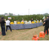 第四届“名评名家湖湘汇”走进石门 生态产业故事引网络大咖点赞