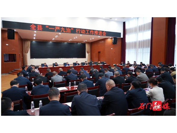 全县全面从严治党“一严九治”行动工作推进会召开