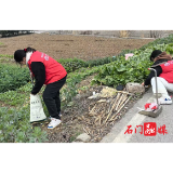 子良镇子良坪社区：“志愿红”点靓乡村底色，大学生助力人居环境换新颜