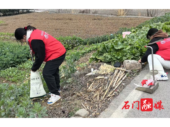 子良镇子良坪社区：“志愿红”点靓乡村底色，大学生助力人居环境换新颜