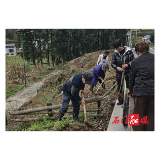 壶瓶山镇平洞村：“四旁”造林添新绿 无患子铺就产业振兴新路径