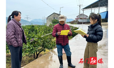 县人社局：社保政策沉下去  养老待遇提上来