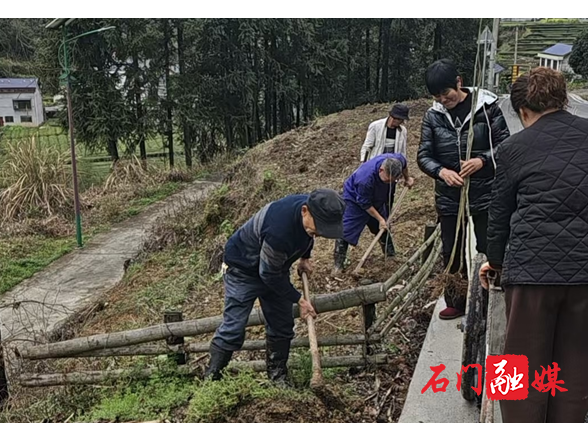 壶瓶山镇平洞村：“四旁”造林添新绿 无患子铺就产业振兴新路径