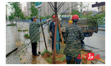 县城管执法局：大风致树木倒伏阻路 城市管理部门紧急抢险保畅通
