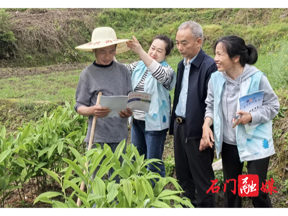 县图书馆：书香伴草帽 耕读正当时