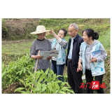 县图书馆：书香伴草帽 耕读正当时