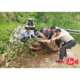 【防汛抗灾进行时】皂市镇：开展灾后隐患排查志愿服务