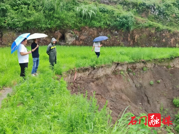 【防汛抗灾进行时】县自然资源局：闻“汛”再动 全力应对新一轮强降雨