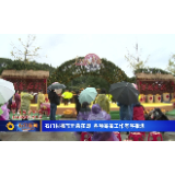 石门柑橘节开幕在即 各项筹备工作有序推进