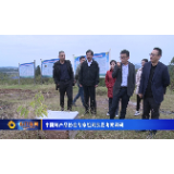 中国蜂产品协会专家组到我县考察调研