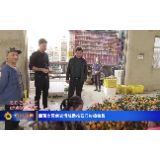 湘西北领创农博城助推石门柑橘销售