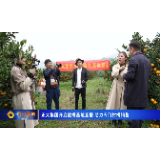 正大集团开启蜜橘基地直播 助力石门柑橘销售