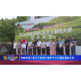 首届常德红茶手工制茶大赛在白云山国有林场举办