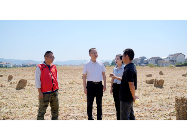 张世田调研督导当前重点工作