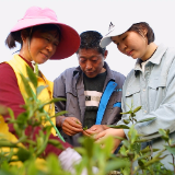行走石门 | 女硕士辞高薪回乡 带领茶农共同致富
