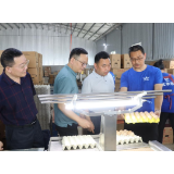 县领导调研走访委员工作室和委员企业