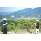 维新镇：开展森林督查，守护绿水青山