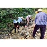 子良镇：民族一家亲 齐心战旱情涌出“幸福泉”