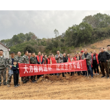 宝峰街道：开展“义务植树添新绿”新时代文明实践志愿活动