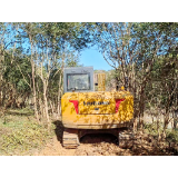 新铺镇:低产油茶改造助农增收致富