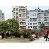 太平镇：“志愿红”传承雷锋精神 践行文明新风尚