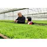 夹山镇：工厂化集中育秧 助力早稻生产跑出“加速度”