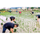 永兴街道：开展“先锋训练营”社会实践活动