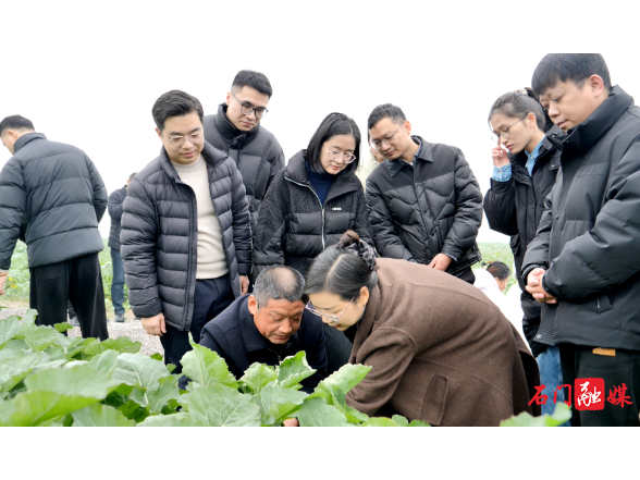 易家渡镇：锚定“三农”抓培育 淬炼骨干促振兴