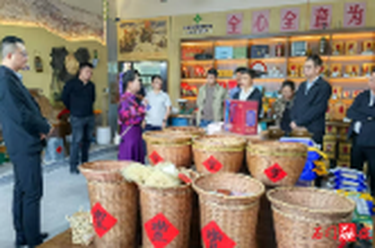新铺镇：开展产业发展调研活动