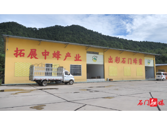 夹山镇：小蜜蜂酿出乡村振兴“甜蜜事业”
